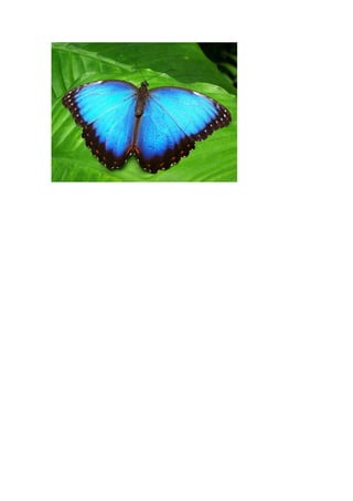 A lei da atração com sacadas incríveis