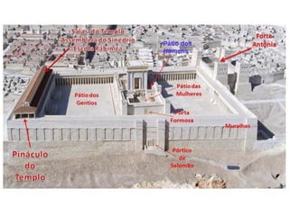Gn 17,9-12: “E Deus continuou falando a
Abraão: "Quanto a você, observe a aliança
que faço com você e com seus futuros des-
cendentes. E a aliança que eu faço com você
e seus futuros descendentes, e que vocês de-
vem observar, é a seguinte: circuncidem to-
dos os homens. Circuncidem a carne do pre-
púcio. Este será o sinal da aliança entre mim
e vocês. […].”
Prepúcio: prega cutânea que recobre a glande do pênis;
(Houaiss).
 