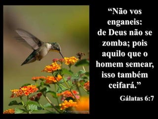 “Não vos
   enganeis:
de Deus não se
 zomba; pois
 aquilo que o
homem semear,
 isso também
   ceifará.”
     Gálatas 6:7
 