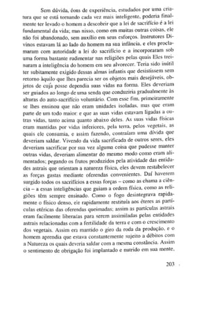 A lei do sacrifício