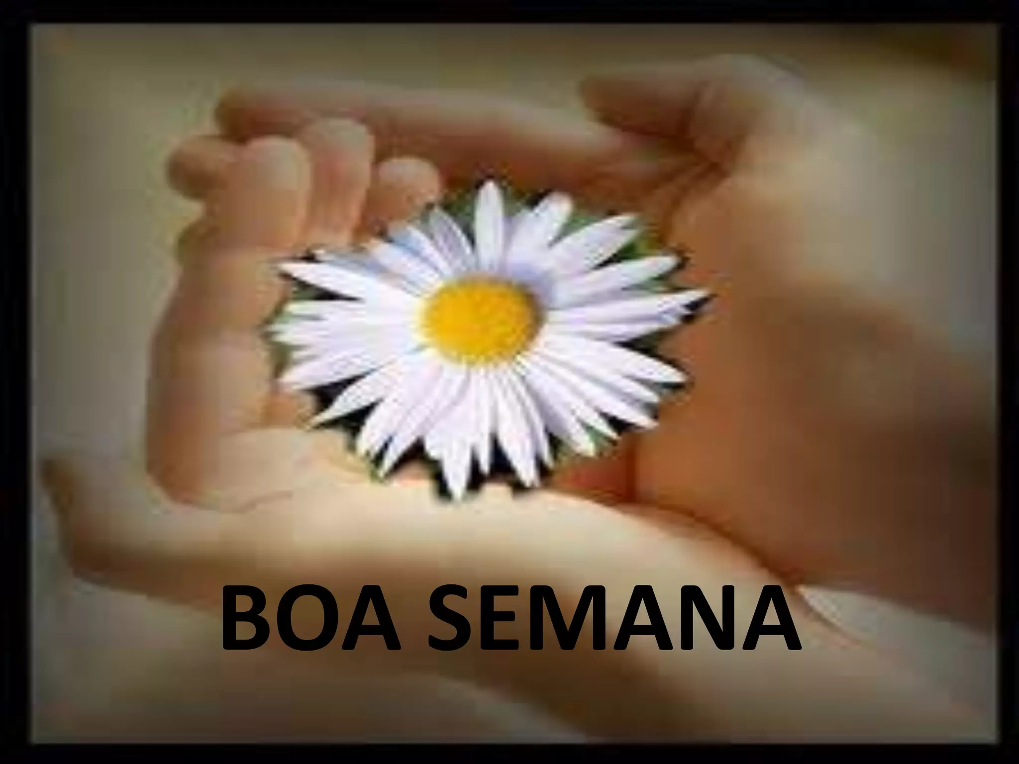BOA SEMANA
 