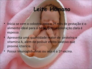 Leite Humano

• Inicia-se com o colostro após o 7º mês de gestação é o
  alimento ideal para o bebê, possui coloração clara é
  espessa.
• Apresenta uma quantidade maior de proteína e
  vitamina A, além de possuir efeito laxativo que
  previne icterícia.
• Possui Imunoglobulinas ou seja é a 1ª vacina.
 