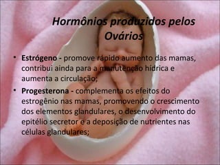 Hormônios produzidos pelos
                  Ovários
• Estrógeno - promove rápido aumento das mamas,
  contribui ainda para a manutenção hídrica e
  aumenta a circulação;
• Progesterona - complementa os efeitos do
  estrogênio nas mamas, promovendo o crescimento
  dos elementos glandulares, o desenvolvimento do
  epitélio secretor e a deposição de nutrientes nas
  células glandulares;
 