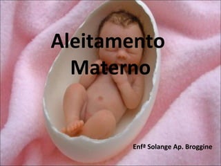 Aleitamento
  Materno


       Enfª Solange Ap. Broggine
 