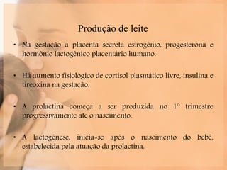 Aleitamento Materno | PPSX