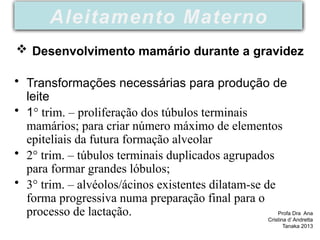 • Transformações necessárias para produção de
leite
• 1° trim. – proliferação dos túbulos terminais
mamários; para criar número máximo de elementos
epiteliais da futura formação alveolar
• 2° trim. – túbulos terminais duplicados agrupados
para formar grandes lóbulos;
• 3° trim. – alvéolos/ácinos existentes dilatam-se de
forma progressiva numa preparação final para o
processo de lactação. Profa Dra Ana
Cristina d’ Andretta
Tanaka 2013
Aleitamento Materno
 Desenvolvimento mamário durante a gravidez
 