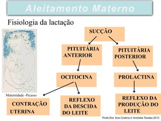 Maternidade -Picasso
Fisiologia da lactação
SUCÇÃO
PITUITÁRIA
POSTERIOR
PITUITÁRIA
ANTERIOR
PROLACTINA
OCITOCINA
REFLEXO DA
PRODUÇÃO DO
LEITE
REFLEXO
DA DESCIDA
DO LEITE
CONTRAÇÃO
UTERINA
Profa Dra Ana Cristina d’ Andretta Tanaka 2013
Aleitamento Materno
 