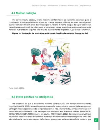 21
Saúde da Criança – Aleitamento Materno e Alimentação Complementar
4.7 Melhor nutrição
Por ser da mesma espécie, o leite materno contém todos os nutrientes essenciais para o
crescimento e o desenvolvimento ótimos da criança pequena, além de ser mais bem digerido,
quando comparado com leites de outras espécies. O leite materno é capaz de suprir sozinho as
necessidades nutricionais da criança nos primeiros seis meses, e continua sendo uma importante
fonte de nutrientes no segundo ano de vida, especialmente de proteínas, gorduras e vitaminas.
Figura 1 – Ilustração da etnia Guarani/Kaiowá, localizada no Mato Grosso do Sul
Fonte: BRASIL (2009b).
4.8 Efeito positivo na inteligência
Há evidências de que o aleitamento materno contribui para um melhor desenvolvimento
cognitivo (HORTA, 2007). A maioria dos estudos conclui que as crianças amamentadas apresentam
vantagem nesse aspecto quando comparadas com as não amamentadas, principalmente as com
baixo peso de nascimento. Essa vantagem foi observada em diferentes idades, (ANDERSON;
JOHNSTONE; REMLEY, 1999) inclusive em adultos (MORTENSEN, 2002). Os mecanismos envolvidos
na possível associação entre aleitamento materno e melhor desenvolvimento cognitivo ainda não
são totalmente conhecidos. Alguns defendem a presença de substâncias no leite materno que
 