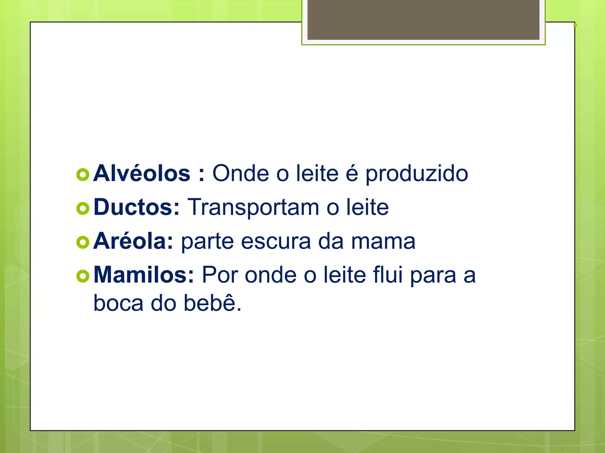 .




 Alvéolos : Onde o leite é produzido
 Ductos: Transportam o leite
 Aréola: parte escura da mama
 Mamilos: Por onde o leite flui para a
  boca do bebê.
 