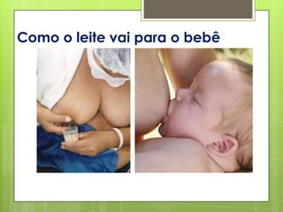 Como o leite vai para o bebê
 