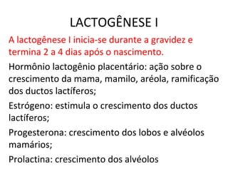 LACTOGÊNESE I
A lactogênese I inicia-se durante a gravidez e
termina 2 a 4 dias após o nascimento.
Hormônio lactogênio placentário: ação sobre o
crescimento da mama, mamilo, aréola, ramificação
dos ductos lactíferos;
Estrógeno: estimula o crescimento dos ductos
lactíferos;
Progesterona: crescimento dos lobos e alvéolos
mamários;
Prolactina: crescimento dos alvéolos
 