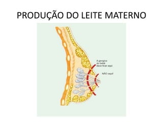 PRODUÇÃO DO LEITE MATERNO
 