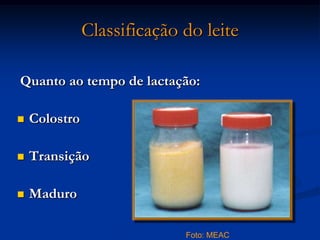 Classificação do leite

Quanto ao tempo de lactação:

   Colostro

   Transição

   Maduro

                             Foto: MEAC
 