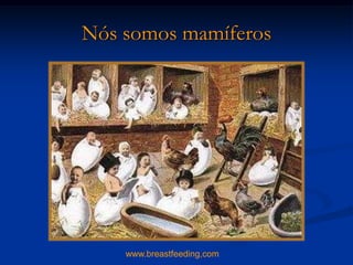 Nós somos mamíferos




    www.breastfeeding,com
 