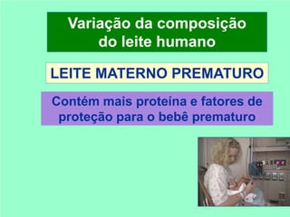 Variação da composição
      do leite humano

LEITE MATERNO PREMATURO
Contém mais proteína e fatores de
 proteção para o bebê prematuro
 