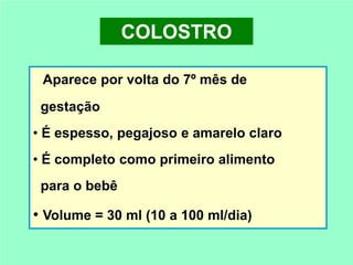 COLOSTRO

• Aparece por volta do 7º mês de
 gestação
• É espesso, pegajoso e amarelo claro
• É completo como primeiro alimento
 para o bebê

• Volume = 30 ml (10 a 100 ml/dia)
 