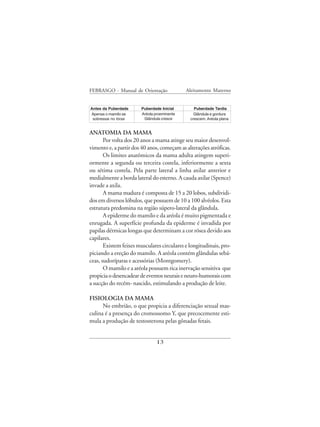 FEBRASGO - Manual de Orientação             Aleitamento Materno


Antes da Puberdade     Puberdade Inicial        Puberdade Tardia
Apenas o mamilo se     Aréola proeminente       Glândula e gordura
 sobressai no tórax     Glândula cresce       crescem. Aréola plana


ANATOMIA DA MAMA
       Por volta dos 20 anos a mama atinge seu maior desenvol-
vimento e, a partir dos 40 anos, começam as alterações atróficas.
       Os limites anatômicos da mama adulta atingem superi-
ormente a segunda ou terceira costela, inferiormente a sexta
ou sétima costela. Pela parte lateral a linha axilar anterior e
medialmente a borda lateral do esterno. A cauda axilar (Spence)
invade a axila.
       A mama madura é composta de 15 a 20 lobos, subdividi-
dos em diversos lóbulos, que possuem de 10 a 100 alvéolos. Esta
estrutura predomina na região súpero-lateral da glândula.
       A epiderme do mamilo e da aréola é muito pigmentada e
enrugada. A superfície profunda da epiderme é invadida por
papilas dérmicas longas que determinam a cor rósea devido aos
capilares.
       Existem feixes musculares circulares e longitudinais, pro-
piciando a ereção do mamilo. A aréola contém glândulas sebá-
ceas, sudoríparas e acessórias (Montgomery).
       O mamilo e a aréola possuem rica inervação sensitiva que
propicia o desencadear de eventos neurais e neuro-humorais com
a sucção do recém- nascido, estimulando a produção de leite.

FISIOLOGIA DA MAMA
      No embrião, o que propicia a diferenciação sexual mas-
culina é a presença do cromossomo Y, que precocemente esti-
mula a produção de testosterona pelas gônadas fetais.


                               13
 