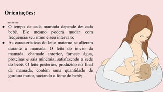 ● O tempo de cada mamada depende de cada
bebê. Ele mesmo poderá mudar com
frequência seu ritmo e seu intervalo;
● As características do leite materno se alteram
durante a mamada. O leite do início da
mamada, chamado anterior, fornece água,
proteínas e sais minerais, satisfazendo a sede
do bebê. O leite posterior, produzido no final
da mamada, contém uma quantidade de
gordura maior, saciando a fome do bebê;
Orientações:
 