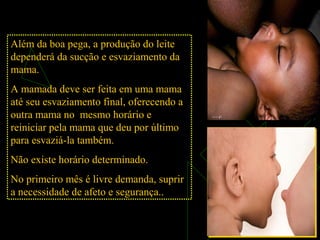 Além da boa pega, a produção do leite
dependerá da sucção e esvaziamento da
mama.
A mamada deve ser feita em uma mama
até seu esvaziamento final, oferecendo a
outra mama no mesmo horário e
reiniciar pela mama que deu por último
para esvaziá-la também.
Não existe horário determinado.
No primeiro mês é livre demanda, suprir
a necessidade de afeto e segurança..
 