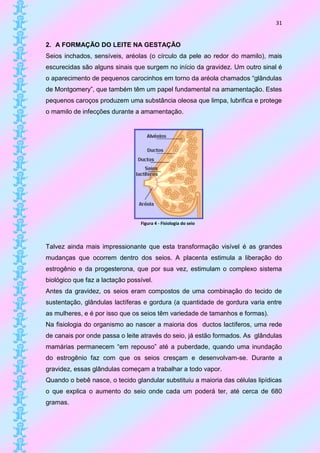 31


2. A FORMAÇÃO DO LEITE NA GESTAÇÃO
Seios inchados, sensíveis, aréolas (o círculo da pele ao redor do mamilo), mais
escurecidas são alguns sinais que surgem no início da gravidez. Um outro sinal é
o aparecimento de pequenos carocinhos em torno da aréola chamados “glândulas
de Montgomery”, que também têm um papel fundamental na amamentação. Estes
pequenos caroços produzem uma substância oleosa que limpa, lubrifica e protege
o mamilo de infecções durante a amamentação.




                                 Figura 4 - Fisiologia do seio



Talvez ainda mais impressionante que esta transformação visível é as grandes
mudanças que ocorrem dentro dos seios. A placenta estimula a liberação do
estrogênio e da progesterona, que por sua vez, estimulam o complexo sistema
biológico que faz a lactação possível.
Antes da gravidez, os seios eram compostos de uma combinação do tecido de
sustentação, glândulas lactíferas e gordura (a quantidade de gordura varia entre
as mulheres, e é por isso que os seios têm variedade de tamanhos e formas).
Na fisiologia do organismo ao nascer a maioria dos ductos lactíferos, uma rede
de canais por onde passa o leite através do seio, já estão formados. As glândulas
mamárias permanecem “em repouso” até a puberdade, quando uma inundação
do estrogênio faz com que os seios cresçam e desenvolvam-se. Durante a
gravidez, essas glândulas começam a trabalhar a todo vapor.
Quando o bebê nasce, o tecido glandular substituiu a maioria das células lipídicas
o que explica o aumento do seio onde cada um poderá ter, até cerca de 680
gramas.
 
