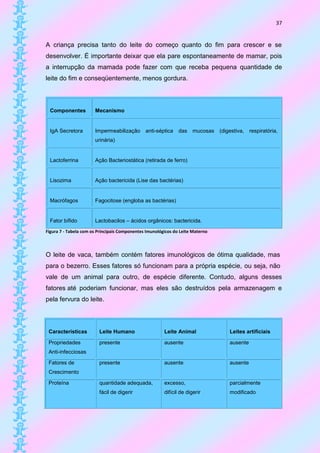 37


A criança precisa tanto do leite do começo quanto do fim para crescer e se
desenvolver. É importante deixar que ela pare espontaneamente de mamar, pois
a interrupção da mamada pode fazer com que receba pequena quantidade de
leite do fim e conseqüentemente, menos gordura.



  Componentes          Mecanismo


  IgA Secretora        Impermeabilização       anti-séptica    das    mucosas   (digestiva, respiratória,
                       urinária)


  Lactoferrina         Ação Bacteriostática (retirada de ferro)


  Lisozima             Ação bactericida (Lise das bactérias)


  Macrófagos           Fagocitose (engloba as bactérias)


  Fator bífido         Lactobacilos – ácidos orgânicos: bactericida.
Figura 7 - Tabela com os Principais Componentes Imunológicos do Leite Materno



O leite de vaca, também contém fatores imunológicos de ótima qualidade, mas
para o bezerro. Esses fatores só funcionam para a própria espécie, ou seja, não
vale de um animal para outro, de espécie diferente. Contudo, alguns desses
fatores até poderiam funcionar, mas eles são destruídos pela armazenagem e
pela fervura do leite.



 Características         Leite Humano                   Leite Animal                Leites artificiais

 Propriedades            presente                       ausente                     ausente
 Anti-infecciosas

 Fatores de              presente                       ausente                     ausente
 Crescimento

 Proteína                quantidade adequada,           excesso,                    parcialmente
                         fácil de digerir               difícil de digerir          modificado
 