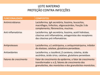 LEITE MATERNO
PROTEÇÃO CONTRA INFECÇÕES
FUNCIONALIDADE COMPOSTOS
Antimicrobianos Lactoferrina, IgA secretória, lisozima, leucocitos,
macrófagos, linfocitos, oligossacáridos, fracção 3 do
complemento, fibronectina, mucinas.
Anti-inflamatórios Lactoferrina, IgA secretória, lisozima, acetil hidrolase,
citocinas anti inflamatórias, antagonistas dos receptores
das citocinas pró inflamatórias.
Antiproteases Lactoferrina, 1 antitripsina,  antiquimiotripsina, inibidor
da elastase, catalase, glutationa-peroxidase.
Antioxidantes Lactoferrina,  tocoferol,  caroteno, cisteína, ácido
ascórbico, ácido úrico, catalase, glutationa peroxidase.
Fatores de crescimento Fator de crescimento da epiderme, o fator de crescimento
transformador  e , fatores de crescimento dos
granulócitos, dos monócitos e dos granulócitos-monócitos.
 