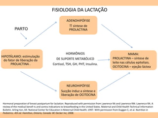 FISIOLOGIA DA LACTAÇÃO
PARTO
ADENOHIPÓFISE
⇈ síntese de
PROLACTINA
HIPOTÁLAMO: estimulação
do fator de liberação da
PROLACTINA .
NEUROHIPÓFISE
Sucção induz a síntese e
liberação de OCITOCINA
MAMA:
PROLACTINA – síntese de
leite nas células epiteliais.
OCITOCINA – ejeção láctea
HORMÔNIOS
DE SUPORTE METABÓLICO
Cortisol, TSH, GH, PHT, Insulina.
Hormonal preparation of breast postpartum for lactation. Reproduced with permission from Lawrence RA and Lawrence RM. Lawrence RA. A
review of the medical benefi ts and contra-indications to breastfeeding in the United States. Maternal and Child Health Technical Information
Bulletin. Arling-ton, VA: National Center for Education in Maternal Child Health; 1997. With permission from Duggan C, et al. Nutrition in
Pediatrics. 4th ed. Hamilton, Ontario, Canada: BC Decker Inc; 2008.
 