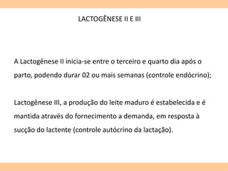 LACTOGÊNESE II E III
A Lactogênese II inicia-se entre o terceiro e quarto dia após o
parto, podendo durar 02 ou mais semanas (controle endócrino);
Lactogênese III, a produção do leite maduro é estabelecida e é
mantida através do fornecimento a demanda, em resposta à
sucção do lactente (controle autócrino da lactação).
 