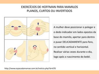 EXERCÍCIOS DE HOFFMAN PARA MAMILOS
PLANOS, CURTOS OU INVERTIDOS
A mulher deve posicionar o polegar e
o dedo indicador em lados opostos da
base do mamilo, apertar para dentro
e puxar DELICADAMENTE para fora,
no sentido vertical e horizontal.
Realizar várias vezes durante o dia,
logo após o nascimento do bebê.
http://www.espacodamamae.com.br/noticia.php?id=670
 