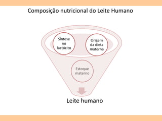 Composição nutricional do Leite Humano
Leite humano
Estoque
materno
Síntese
no
lactócito
Origem
da dieta
materna
 