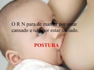 O R N para de mamar por estar
cansado e não por estar saciado.

          POSTURA
 