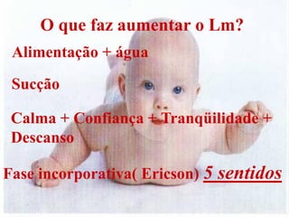 O que faz aumentar o Lm?
 Alimentação + água
 Sucção

 Calma + Confiança + Tranqüilidade +
 Descanso

Fase incorporativa( Ericson) 5   sentidos
 