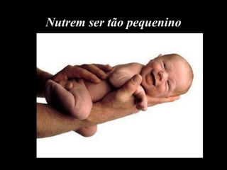 Nutrem ser tão pequenino
 