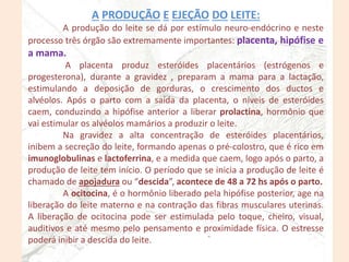A PRODUÇÃO E EJEÇÃO DO LEITE:
A produção do leite se dá por estímulo neuro-endócrino e neste
processo três órgão são extremamente importantes: placenta, hipófise e
a mama.
A placenta produz esteróides placentários (estrógenos e
progesterona), durante a gravidez , preparam a mama para a lactação,
estimulando a deposição de gorduras, o crescimento dos ductos e
alvéolos. Após o parto com a saída da placenta, o níveis de esteróides
caem, conduzindo a hipófise anterior a liberar prolactina, hormônio que
vai estimular os alvéolos mamários a produzir o leite.
Na gravidez a alta concentração de esteróides placentários,
inibem a secreção do leite, formando apenas o pré-colostro, que é rico em
imunoglobulinas e lactoferrina, e a medida que caem, logo após o parto, a
produção de leite tem início. O período que se inicia a produção de leite é
chamado de apojadura ou “descida”, acontece de 48 a 72 hs após o parto.
A ocitocina, é o hormônio liberado pela hipófise posterior, age na
liberação do leite materno e na contração das fibras musculares uterinas.
A liberação de ocitocina pode ser estimulada pelo toque, cheiro, visual,
auditivos e até mesmo pelo pensamento e proximidade física. O estresse
poderá inibir a descida do leite.
 
