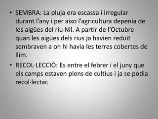 • SEMBRA: La pluja era escassa i irregular
durant l’any i per aixo l’agricultura depenia de
les aigües del riu Nil. A partir de l’Octubre
quan les aigües dels rius ja havien reduït
sembraven a on hi havia les terres cobertes de
llim.
• RECOL·LECCIÓ: Es entre el febrer i el juny que
els camps estaven plens de cultius i ja se podia
recol·lectar.
 