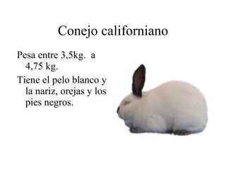 ALIMENTACIÓN Son animales hervíberos. Seleccionan las plantas compuestas, leguminosas y guminosas. Un adulto consume de 200 a 500 gramos de plantas.