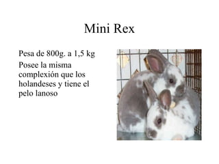 Primera protección, segunda protección y fibras pilosas