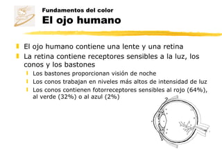 El ojo humano contiene una lente y una retina La retina contiene receptores sensibles a la luz, los conos y los bastones Los bastones proporcionan visión de noche Los conos trabajan en niveles más altos de intensidad de luz Los conos contienen fotorreceptores sensibles al rojo (64%), al verde (32%) o al azul (2%) Fundamentos del color El ojo humano 