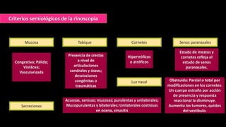 Mucosa
Criterios semiológicos de la rinoscopia
Congestiva; Pálida;
Violácea;
Vascularizada
Tabique Cornetes
Luz nasal
Secreciones
Senos paranasales
Estado de meatos y
cornetes refleja el
estado de senos
paranasales.
Presencia de crestas
a nivel de
articulaciones
condrales y óseas;
desviaciones
congénitas o
traumáticas
Hipertróficos
o atróficos
Acuosas, serosas; mucosas; purulentas y unilaterales;
Mucopurulentas y bilaterales; Unilaterales costrosas
en ocena, sinusitis
Obstruida: Parcial o total por
modificaciones en los cornetes.
Un cuerpo extraño por acción
de presencia y respuesta
reaccional la disminuye.
Aumenta los tumores, quistes
del vestíbulo.
 