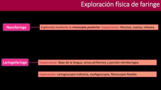 Laringofaringe Inspeccionar: Base de la lengua, senos piriformes y porción retrofaríngea.
Exploración: Laringoscopia indirecta, esofagoscopia, fibroscopio flexible.
Explorada mediante la rinoscopia posterior. Inspeccionar: Mucosa, coanas, relieves.
Exploración física de faringe
Nasofaringe
 