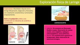 Exploración física de Laringe
Inspeccionar: Movilidad o fijación de la
laringe (Respiración, deglución y fonación),
con crepitación característica; tumoración;
empastamiento.
Dolor a la palpación unido a una
tumefacción es indicativo de condritis o
pericondritis.
• Indirecta. Sin anestesia con fibroscopio
flexible o espejo. Observación de cuerdas
vocales, zona subglótica, repliegues
aritenoepiglóticos, senos piriformes.
• Directa. Con anestesia local o general con
laringoscopio. Mejor observación de
estructuras laríngeas.
LARINGOSCOPIA
 