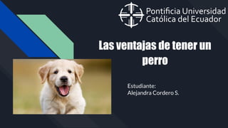 Las ventajas de tener un
perro
Estudiante:
Alejandra Cordero S.
 