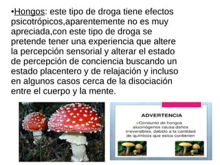 ●Hongos: este tipo de droga tiene efectos
psicotrópicos,aparentemente no es muy
apreciada,con este tipo de droga se
pretende tener una experiencia que altere
la percepción sensorial y alterar el estado
de percepción de conciencia buscando un
estado placentero y de relajación y incluso
en algunos casos cerca de la disociación
entre el cuerpo y la mente.
 