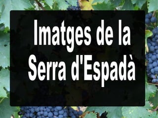 Imatges de la  Serra d'Espadà 