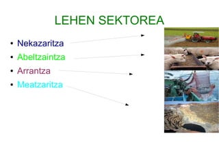 LEHEN SEKTOREA
●   Nekazaritza
●   Abeltzaintza
●   Arrantza
●   Meatzaritza
 