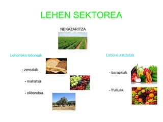 LEHEN SEKTOREA
                      NEKAZARITZA




Lehorreko laboreak                  Labore ureztatua


      - zerealak
                                     - barazkiak

        - mahatsa

                                     - fruituak
        - olibondoa
 