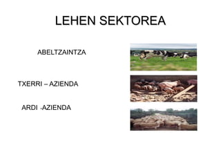 LEHEN SEKTOREA

     ABELTZAINTZA



TXERRI – AZIENDA


 ARDI -AZIENDA
 