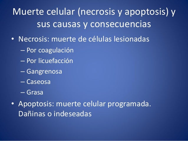 Resultado de imagen para consecuencias de la necrosis