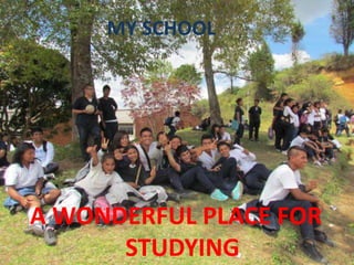 MY SCHOOL

A WONDERFUL PLACE FOR
STUDYING

 