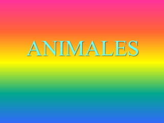 ANIMALES
 